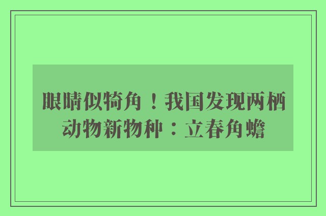 眼睛似犄角！我国发现两栖动物新物种：立春角蟾