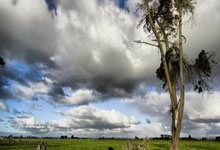 蓉城枕香：在巴适烟火里守一份悠然