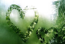 蓉城枕香：在巴适烟火里守一份悠然