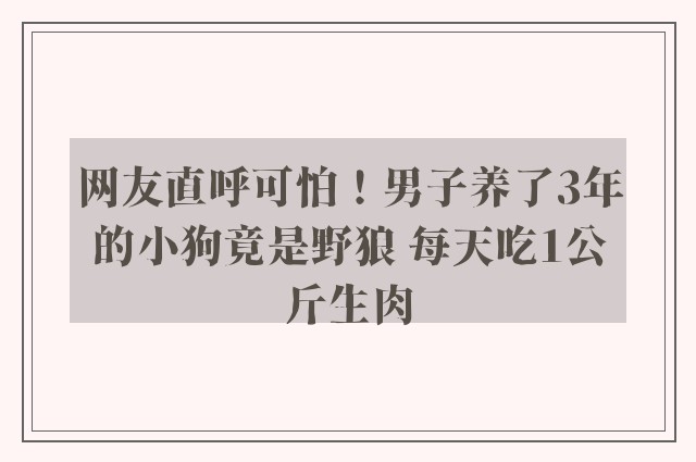 网友直呼可怕！男子养了3年的小狗竟是野狼 每天吃1公斤生肉