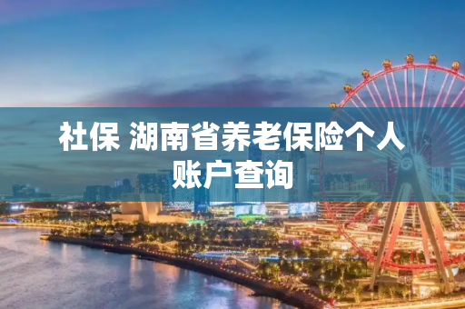 社保 湖南省养老保险个人账户查询