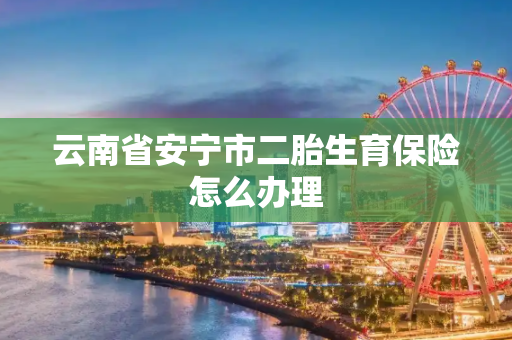 云南省安宁市二胎生育保险怎么办理