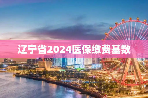 辽宁省2024医保缴费基数