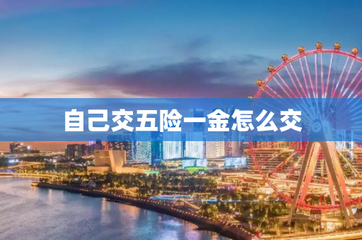 自己交五险一金怎么交