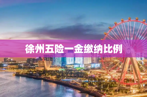 徐州五险一金缴纳比例