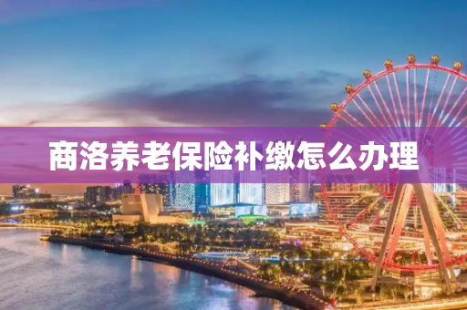 商洛养老保险补缴怎么办理
