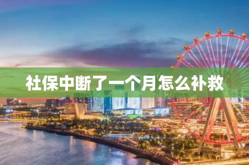社保中断了一个月怎么补救
