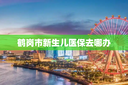 鹤岗市新生儿医保去哪办