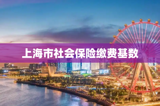 上海市社会保险缴费基数