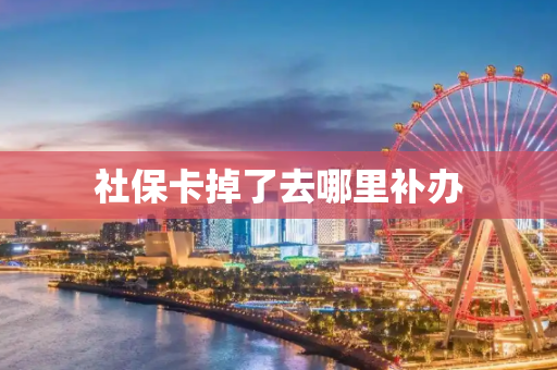 社保卡掉了去哪里补办
